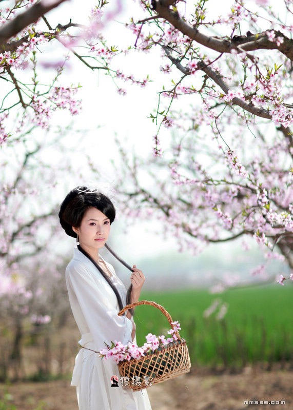 桃花深处惊险美丽娇娘 封面
